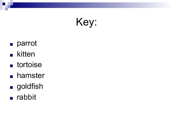 Key: parrot kitten tortoise hamster goldfish rabbit
