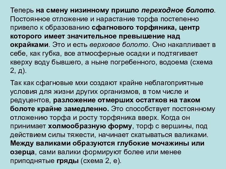 Теперь на смену низинному пришло переходное болото. Постоянное отложение и