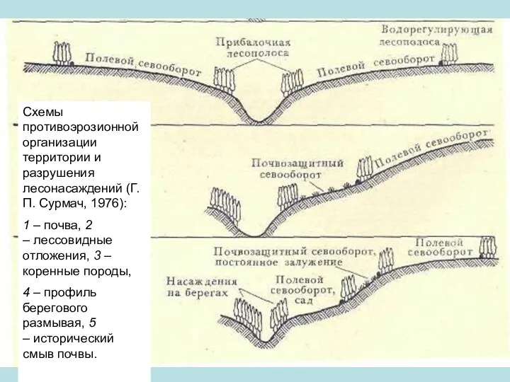 Схемы противоэрозионной организации территории и разрушения лесонасаждений (Г. П. Сурмач,