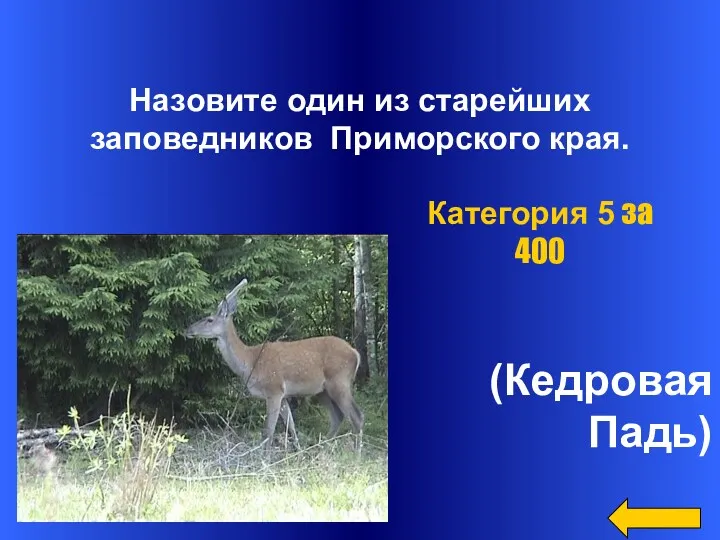 Назовите один из старейших заповедников Приморского края. (Кедровая Падь) Категория 5 за 400