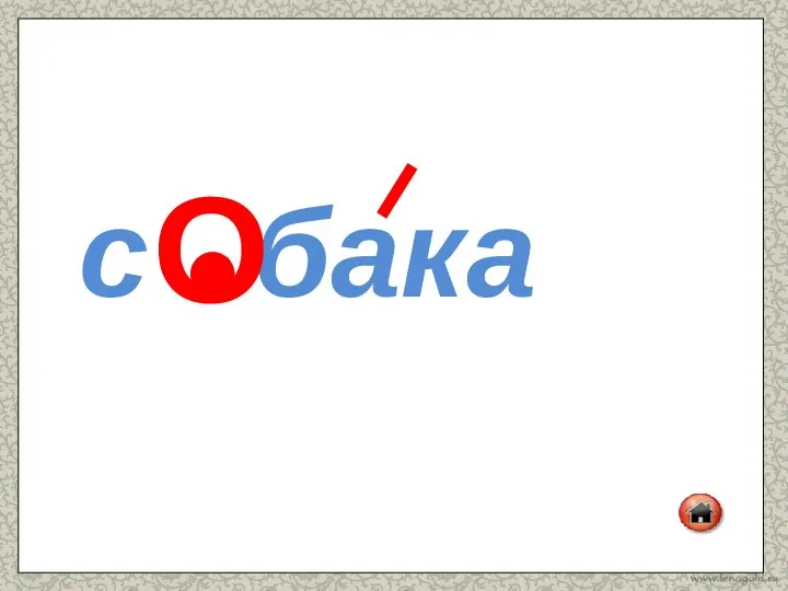 с бака О