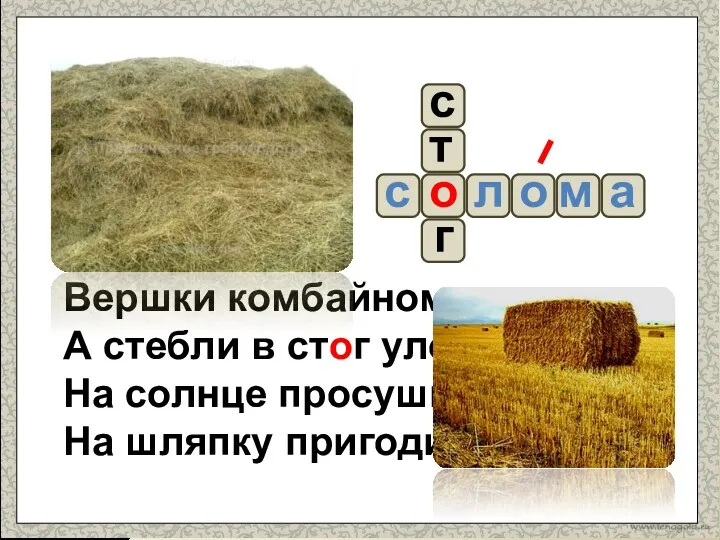 Вершки комбайном скошены, А стебли в стог уложены, На солнце