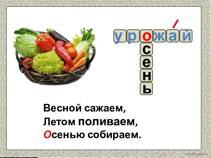 р у й ь а е ж о н с Весной сажаем, Летом поливаем, Осенью собираем.