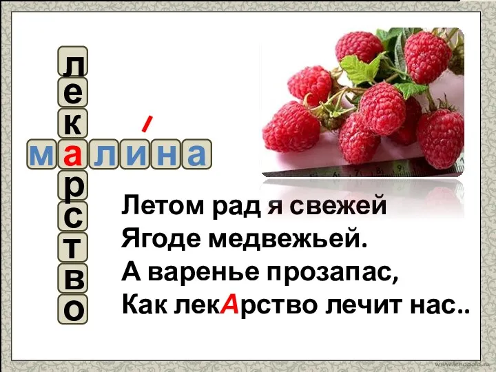 Летом рад я свежей Ягоде медвежьей. А варенье прозапас, Как