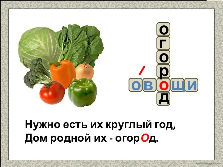 и в щ о о о о г р д