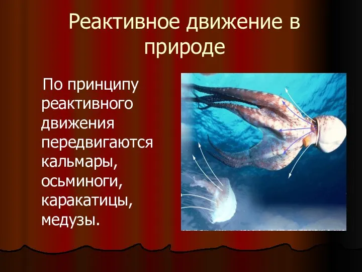 Реактивное движение в природе По принципу реактивного движения передвигаются кальмары, осьминоги, каракатицы, медузы.