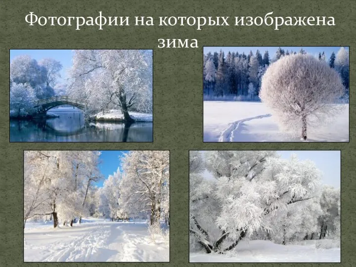 Фотографии на которых изображена зима