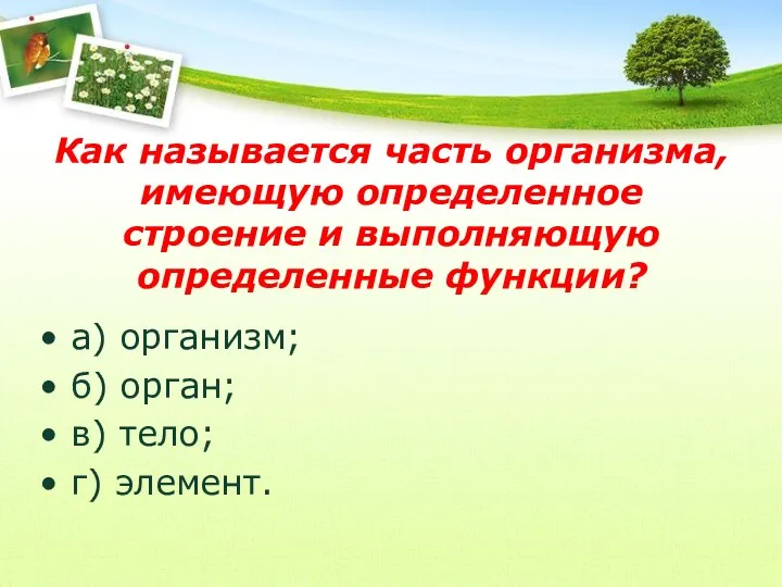 Как называется часть организма, имеющую определенное строение и выполняющую определенные