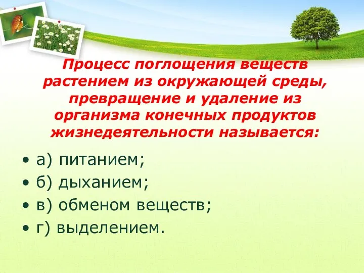 Процесс поглощения веществ растением из окружающей среды, превращение и удаление