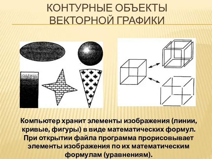 Контурные объекты векторной графики Компьютер хранит элементы изображения (линии, кривые,