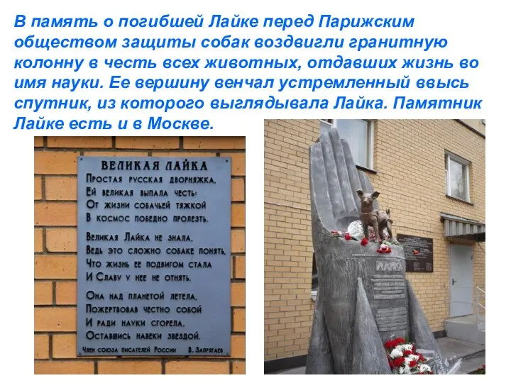 В память о погибшей Лайке перед Парижским обществом защиты собак