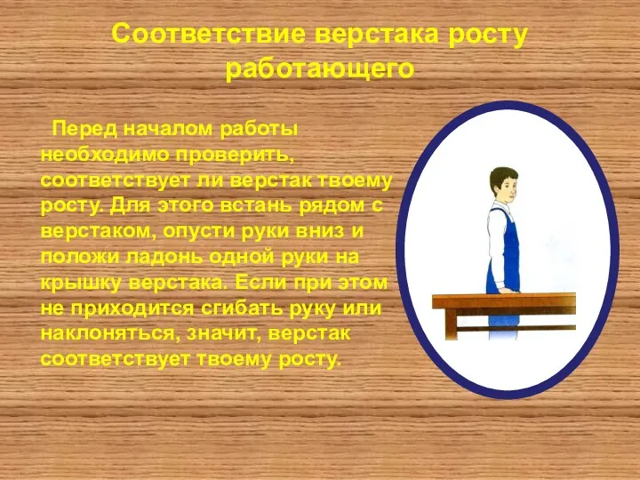 Соответствие верстака росту работающего Перед началом работы необходимо проверить, соответствует