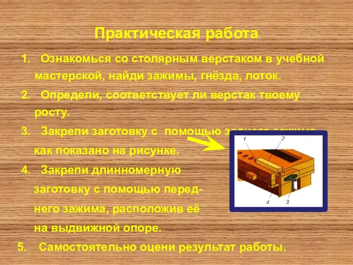 Практическая работа 1. Ознакомься со столярным верстаком в учебной мастерской,