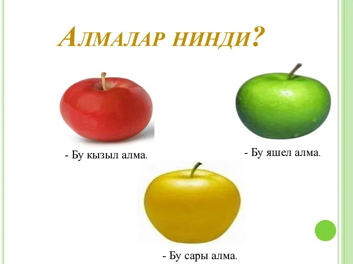 Алмалар нинди? - Бу кызыл алма. - Бу яшел алма. - Бу сары алма.