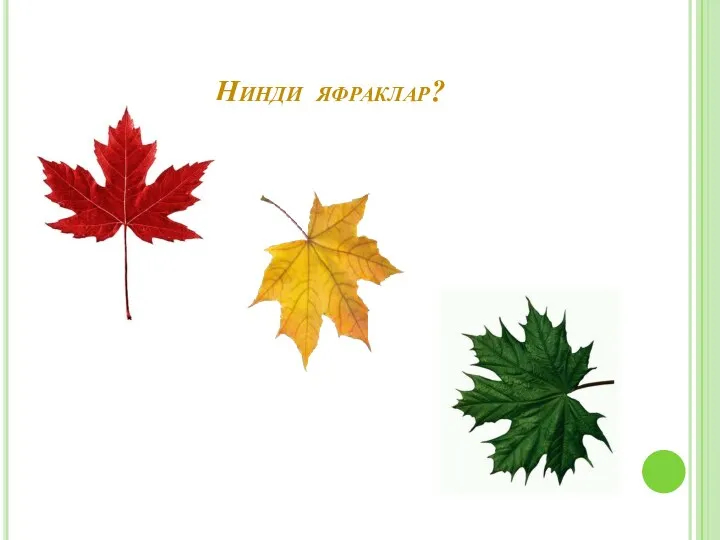 Нинди яфраклар?