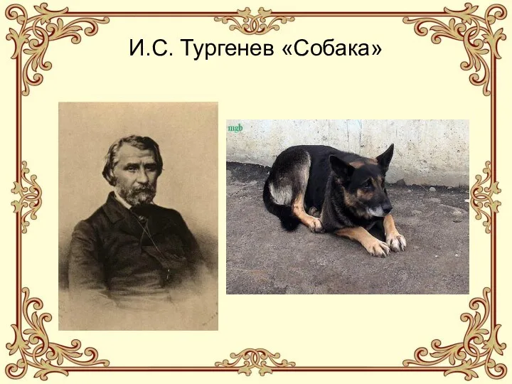 И.С. Тургенев «Собака»