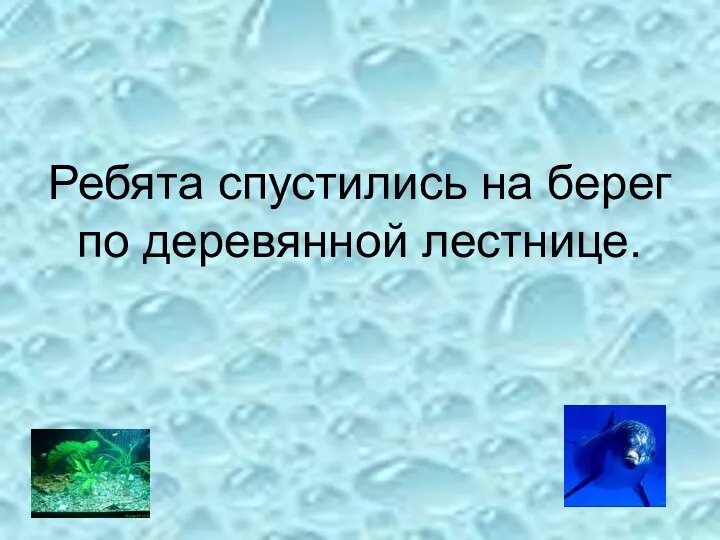 Ребята спустились на берег по деревянной лестнице.