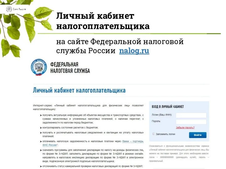 Личный кабинет налогоплательщика на сайте Федеральной налоговой службы России nalog.ru