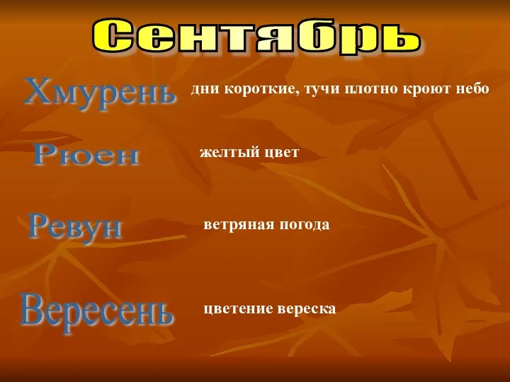 Рюен Ревун Вересень желтый цвет ветряная погода цветение вереска Хмурень