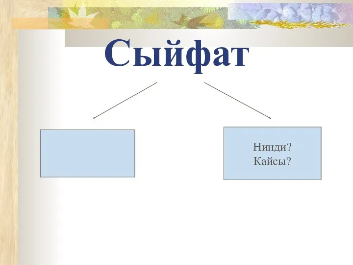 Сыйфат Нинди? Кайсы?