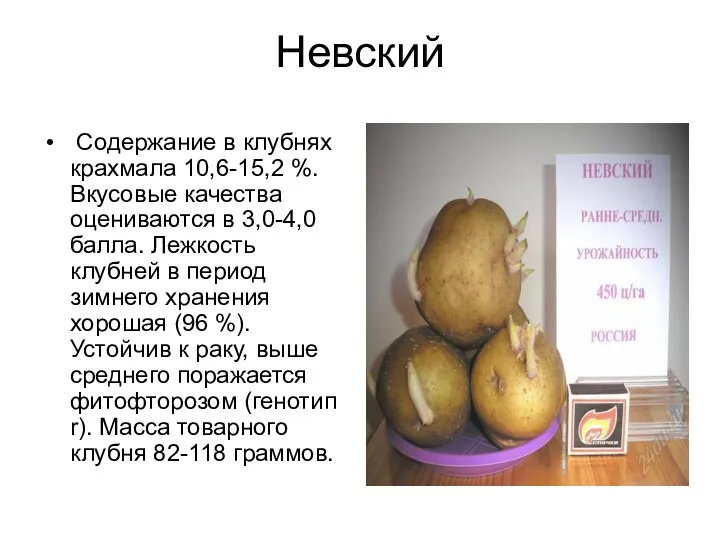 Невский Содержание в клубнях крахмала 10,6-15,2 %. Вкусовые качества оцениваются в 3,0-4,0 балла.