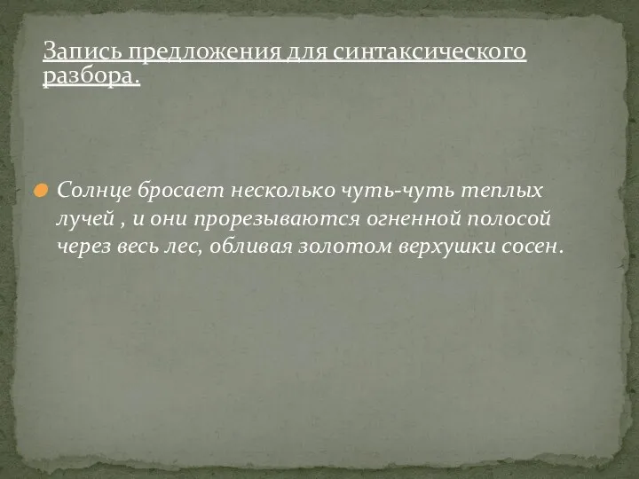 Солнце бросает несколько чуть-чуть теплых лучей , и они прорезываются