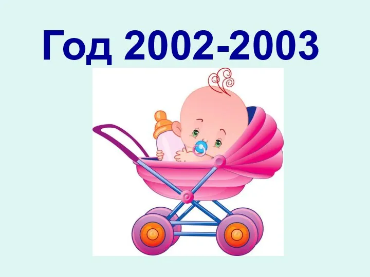 Год 2002-2003