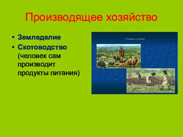 Производящее хозяйство Земледелие Скотоводство (человек сам производит продукты питания)