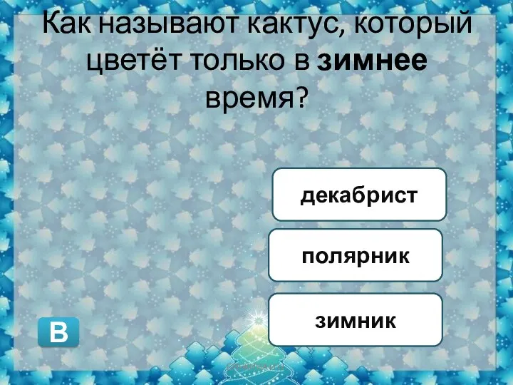 Как называют кактус, который цветёт только в зимнее время? полярник зимник декабрист В БЯНКИНА И.Н.