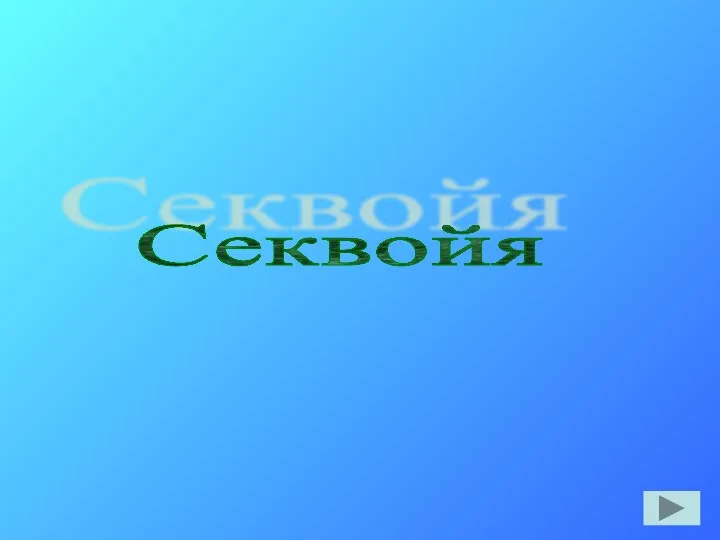 Секвойя