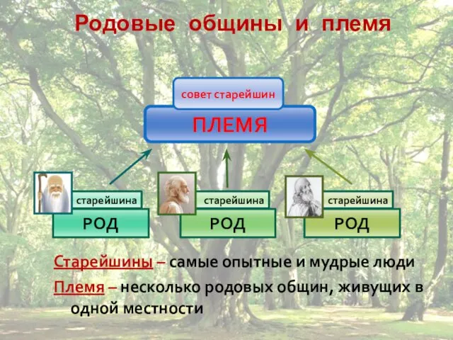 Родовые общины и племя Старейшины – самые опытные и мудрые