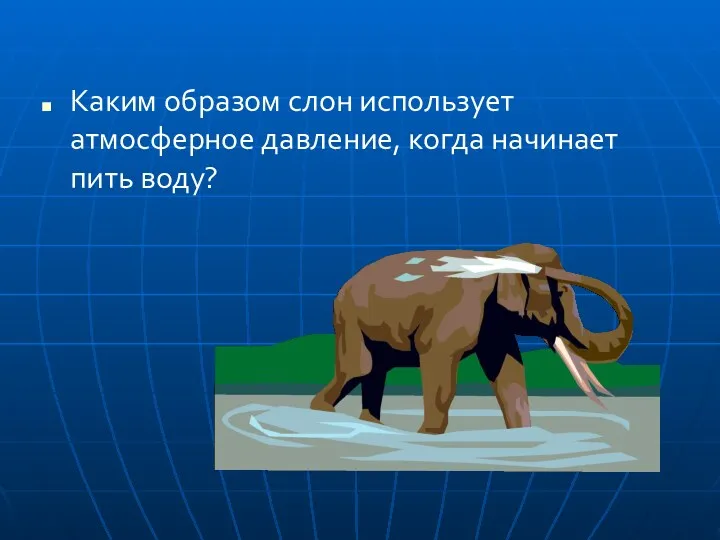 Каким образом слон использует атмосферное давление, когда начинает пить воду?