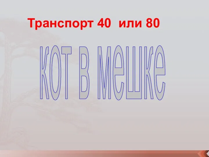 кот в мешке Транспорт 40 или 80