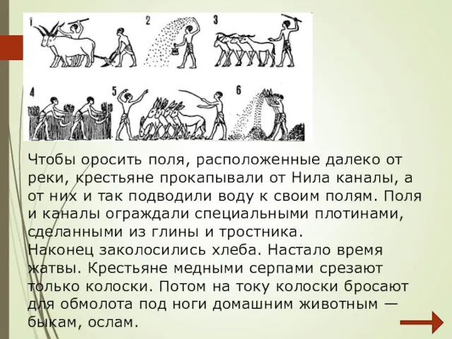 Чтобы оросить поля, расположенные далеко от реки, крестьяне прокапывали от