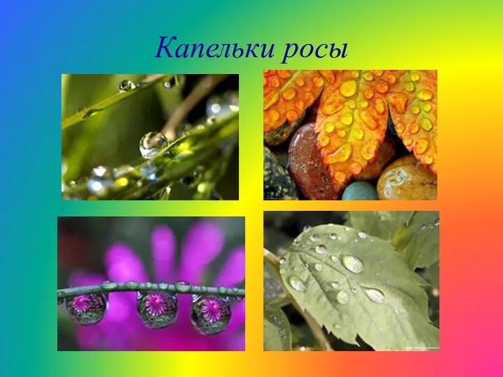 Капельки росы