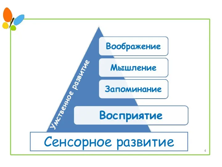 Умственное развитие Сенсорное развитие