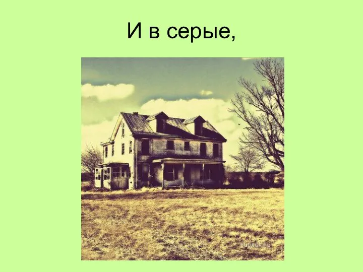 И в серые,