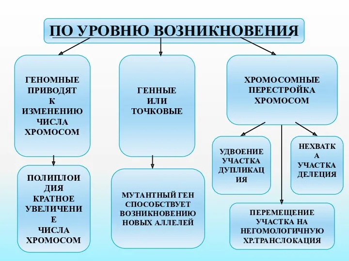 ПО УРОВНЮ ВОЗНИКНОВЕНИЯ ГЕНОМНЫЕ ПРИВОДЯТ К ИЗМЕНЕНИЮ ЧИСЛА ХРОМОСОМ ГЕННЫЕ