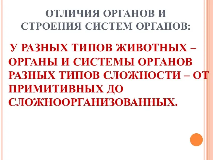 ОТЛИЧИЯ ОРГАНОВ И СТРОЕНИЯ СИСТЕМ ОРГАНОВ: У РАЗНЫХ ТИПОВ ЖИВОТНЫХ