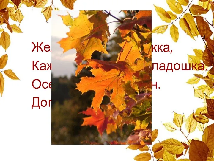 Желто-красная одежка, Каждый листик, как ладошка. Осенью всех ярче он. Догадались? Это...
