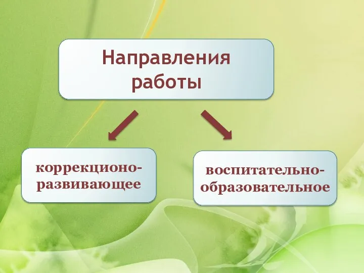 коррекционо-развивающее воспитательно-образовательное Направления работы