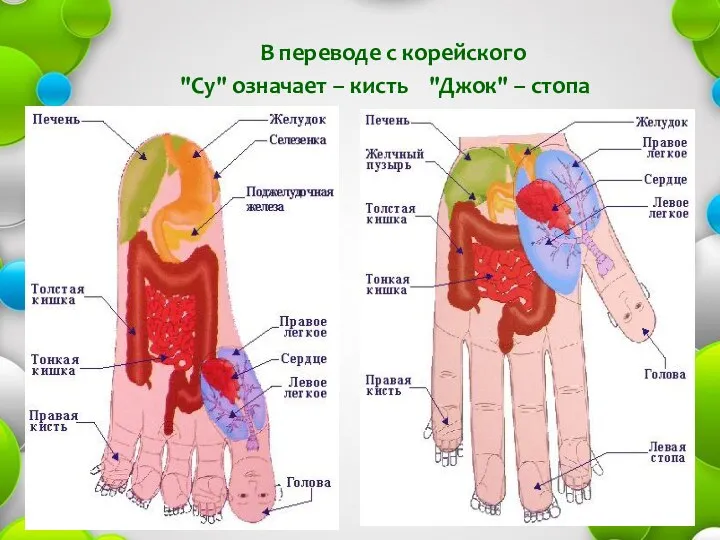 В переводе с корейского "Су" означает – кисть "Джок" – стопа