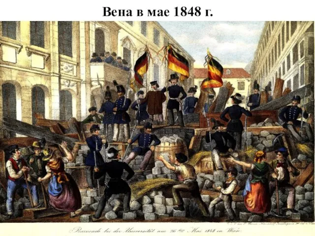 Вена в мае 1848 г.