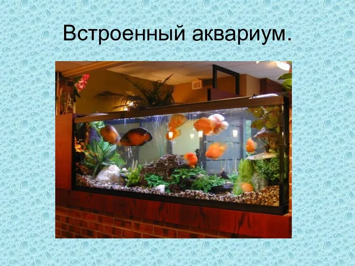 Встроенный аквариум.