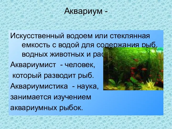 Аквариум - Искусственный водоем или стеклянная емкость с водой для