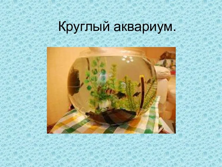 Круглый аквариум.