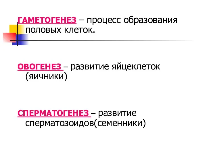 ГАМЕТОГЕНЕЗ – процесс образования половых клеток. ОВОГЕНЕЗ – развитие яйцеклеток (яичники) СПЕРМАТОГЕНЕЗ – развитие сперматозоидов(семенники)