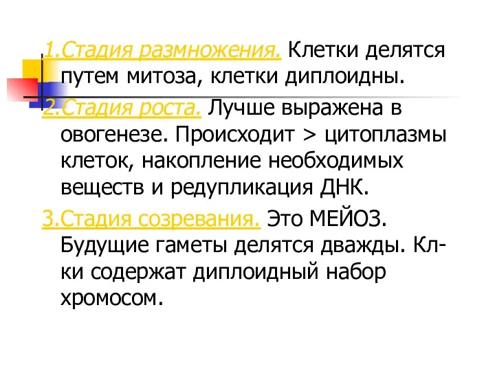 1.Стадия размножения. Клетки делятся путем митоза, клетки диплоидны. 2.Стадия роста.