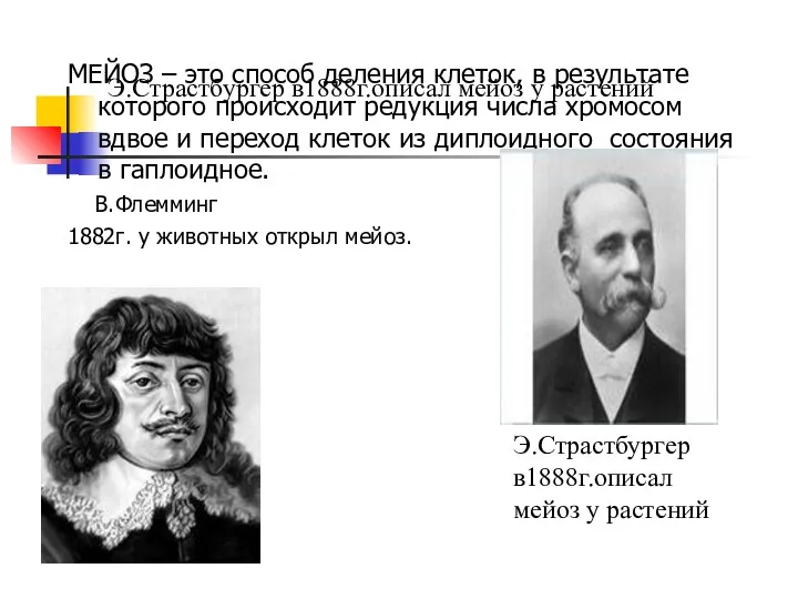 Э.Страстбургер в1888г.описал мейоз у растений МЕЙОЗ – это способ деления