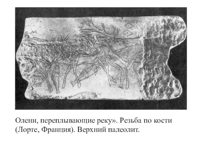Скульптура палеолита Олени, переплывающие реку». Резьба по кости (Лорте, Франция). Верхний палеолит.